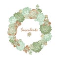 Wreath of succulents of different types Royalty Free Stock Photo